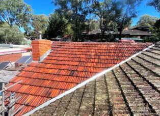 WhatsApp Image 2025-12-10 at 4.54.28 AM